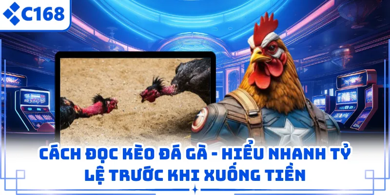 Cách Đọc Kèo Đá Gà - Hiểu Nhanh Tỷ Lệ Trước Khi Xuống Tiền 