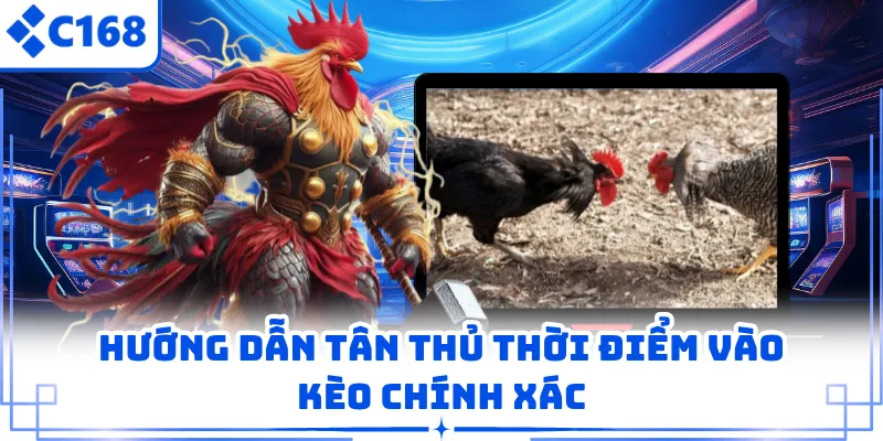 Hướng dẫn tân thủ thời điểm vào kèo chính xác