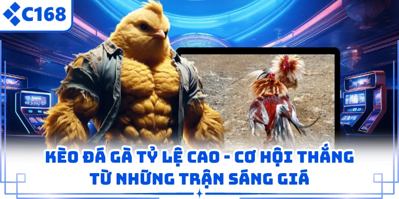 Kèo Đá Gà Tỷ Lệ Cao - Cơ Hội Thắng Từ Những Trận Sáng Giá 