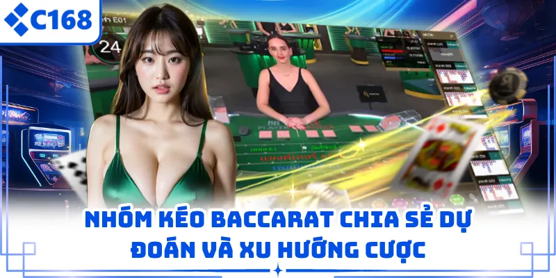 Nhóm kéo baccarat chia sẻ dự đoán và xu hướng cược