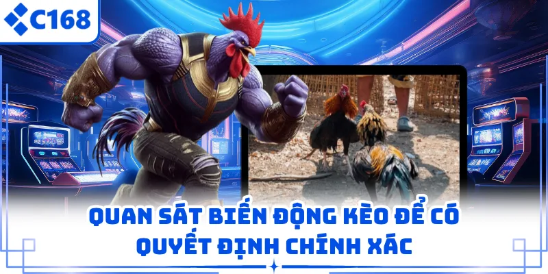Quan sát biến động kèo để có quyết định chính xác