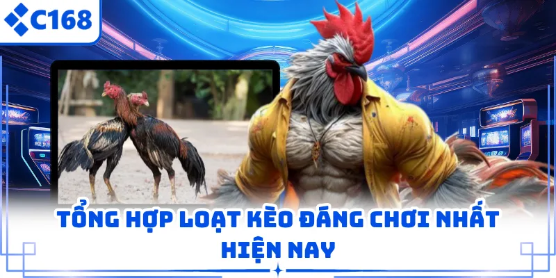 Tổng hợp loạt kèo đáng chơi nhất hiện nay