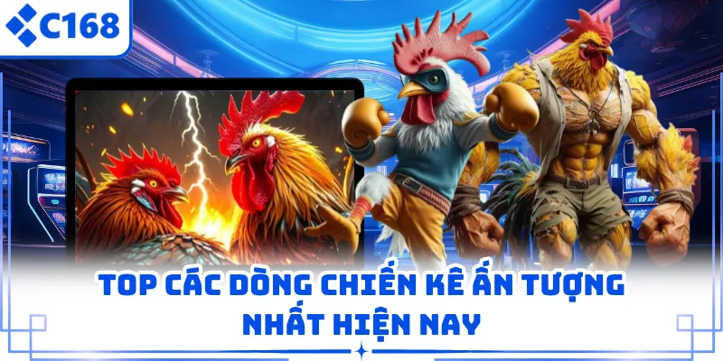 Top các dòng chiến kê ấn tượng nhất hiện nay